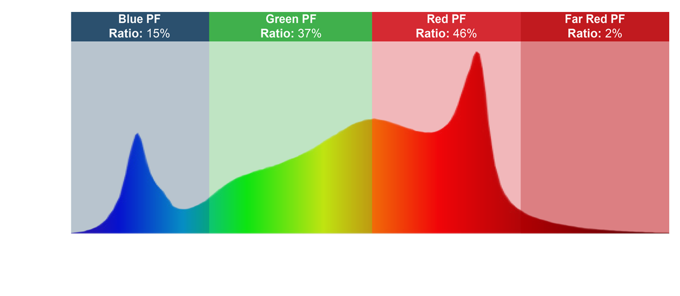 20220426104901246.png